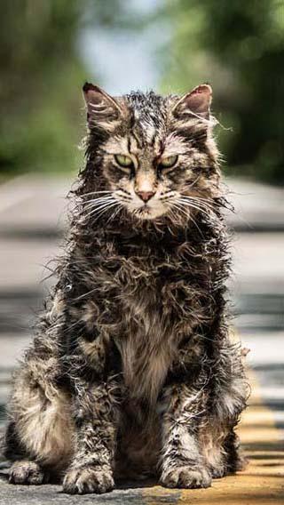 PET SEMATARY