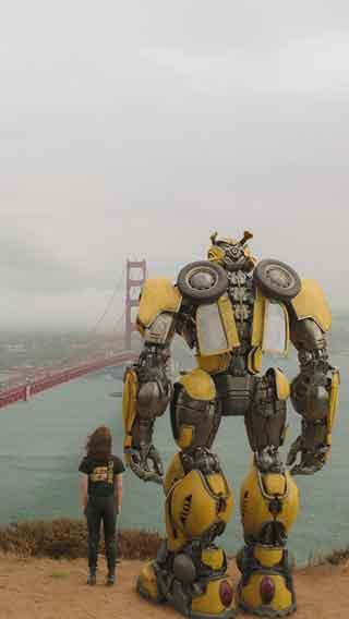 BUMBLEBEE