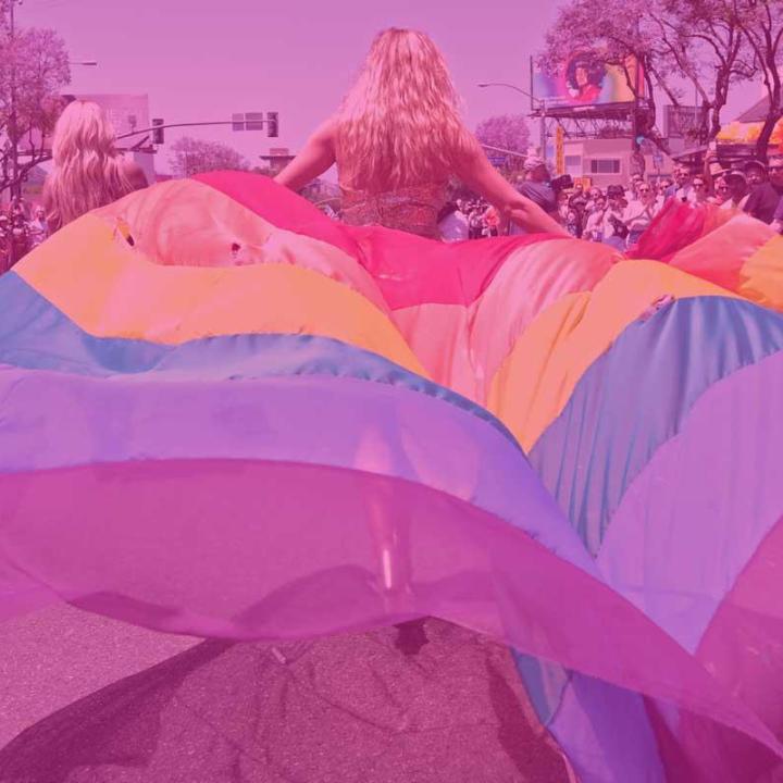 Person holding Pride flag