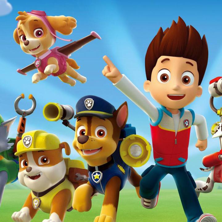 Paw patrol paw patrol paw patrol paw patrol paw patrol paw patrol paw patrol paw patrol cheap