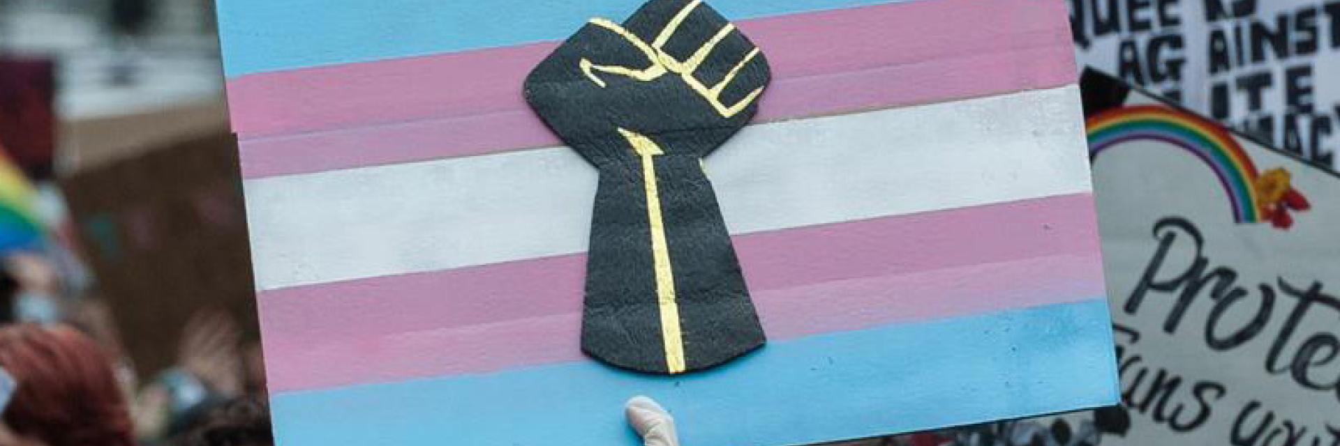 Image of Black Trans Lives Matter Protest 
